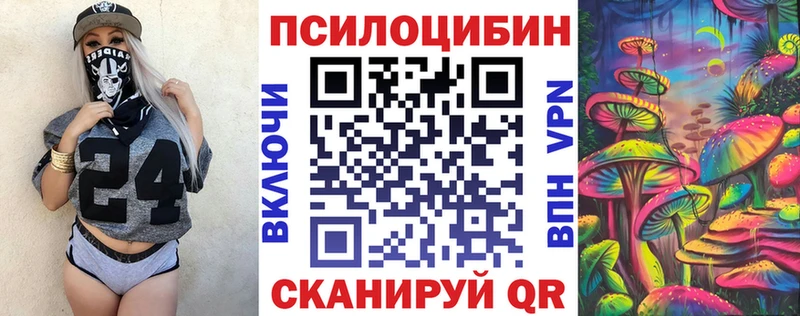 Галлюциногенные грибы Psilocybe  наркота  Красный Холм 